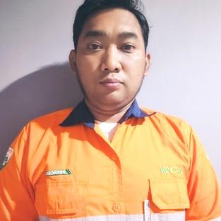Novi Fauzy