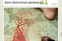 Featured Picture